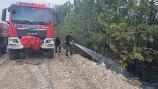Aydındaki orman yangını kontrol altına alındı