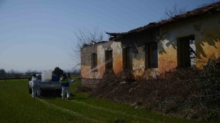 Bafrada kahverengi kokarca ile mücadeleye start verildi