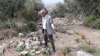 Bakımsız bebek mezarlığı tepkilere neden oluyor