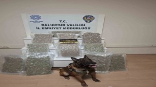 Balıkesirde 12 kilo esrar ele geçirildi