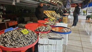 Bandırmada Ramazan ayında balık bolluğu
