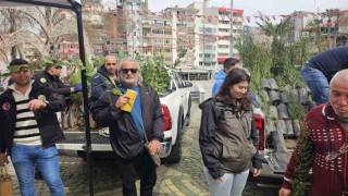 Bandırmada ücretsiz fidan dağıtımı gerçekleştirildi