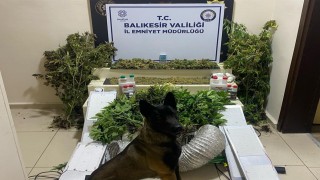 Bandırmada zehir tacirlerine geçit yok: 1 gözaltı