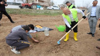Başkan Önal öğrencilerle fidan dikti