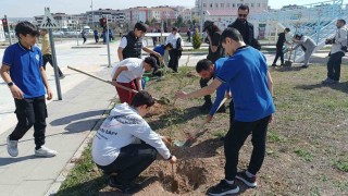 Batmanda 100 öğrenci 116 adet fidan dikti