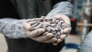 Bayram sofralarının vazgeçilmezi beyaz altın için kazanlar dönmeye başladı