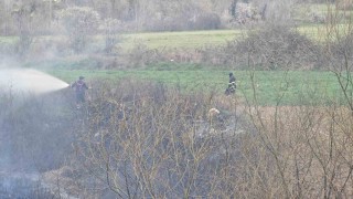 Bilecikte arazi yangını