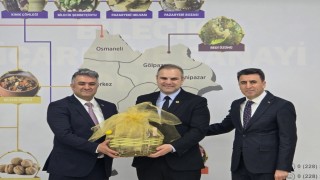 Bilecikte Cennet Hurması ve Kalamata Zeytini için coğrafi işaret yolunda