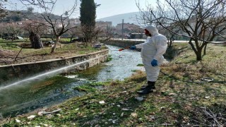 Bilecikte sivrisineklerle mücadeleye devam ediyor