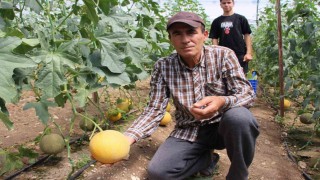 Bu mevsimde olmaz dediler, 2 ton hasat yapıp kilosunu 200 TLden sattı