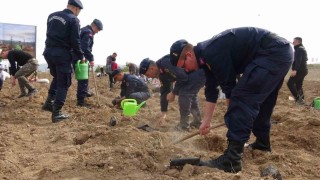 Burdurda doğanın lezzeti ormanda saklı diyerek bin 600 fidan toprakla buluşturuldu