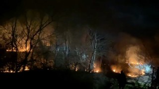 Bursada ormanlık alanda yangın