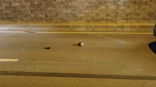 Bursada yolun karşısına geçen 2 kişiye hafif ticari araç çarptı: 2 yaralı