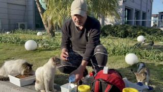 Çadırda yaşadığı günlerden etkilendi, günde 8 kilometre yol katederek 100den fazla kedi besliyor