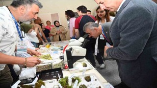 ÇAKÜden büyük başarı: Doğa bilimlerinde Türkiye 1incisi