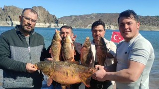 Çekerek Barajında 14 kiloluk sazan yakalandı