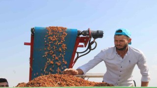 Çekirdeksiz kuru üzümde ihracat yüzde 13 arttı