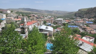 Çemişgezekte koyun-keçi çiçek hastalığı görüldü