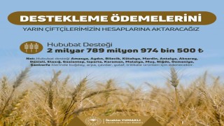 Çiftçilere hububat destek ödemesi yapılacak