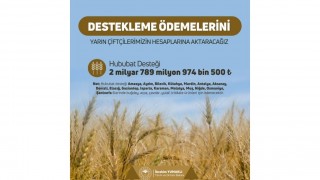 Çiftçilere Müjde! 17 İlde Hububat Destekleme Ödemeleri Hesaplara Yatırılıyor