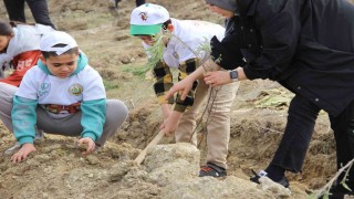 Çorumda yüzlerce ıhlamur ve lavanta fidanı toprakla buluşturuldu