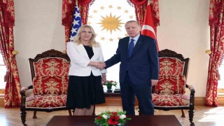 Cumhurbaşkanı Erdoğan, Bosna Hersek Devlet Başkanlığı Konseyi Başkanı Sviyanoviç ile görüştü