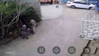 Dayısına kürekle saldırdı, o anlar güvenlik kamerasında