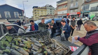 Demircide vatandaşlara 3 bin fidan dağıtıldı