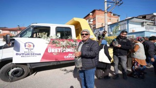 Denizli Büyükşehirden zeytin fidanı seferberliği