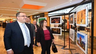 Denizlide tarım, orman ve insan konulu fotoğraflar görücüye çıktı