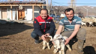 Devlet desteği Erzincanlı çiftçilere umut oldu