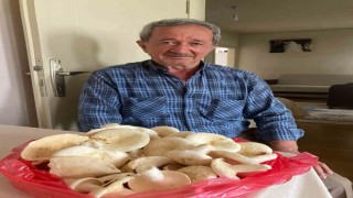 Devrilen traktörün altında kalan adam, hayatını kaybetti