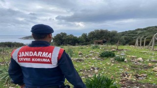 Dilek Yarımadası Milli Parkında jandarma denetimi