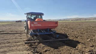 Dinarda yazlık patates ekimi başladı