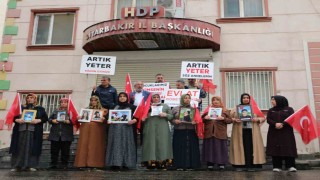 Diyarbakır annelerine bir aile daha katıldı