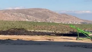 Diyarbakırda binlerce kuş türü buğday silosu etrafında toplandı