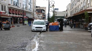 Diyarbakırda tarihi mekanlardaki başıboş köpekler tedirgin ediyor