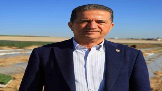 Doğan: Baharın bereketi, Çukurovanın üretken elleriyle yeniden filizleniyor