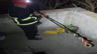 Dörtyolda eve giren yılanı itfaiye yakaladı