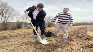 Dumlupınarda böğürtlen fideleri toprakla buluşturuldu