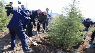 Dünya Ormancılık Gününde Çanakkalede 4 bin fidan toprakla buluştu