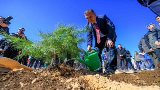 Dünya Ormancılık Gününde fidanlar toprak ile buluştu