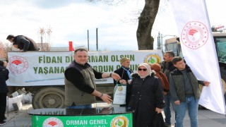 Düzcede 5 bin adet fidan dağıtıldı