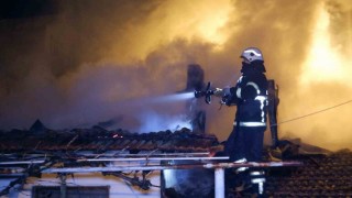 Edirnede 2 müstakil ev alev alev yandı, dumanlar gökyüzünü kapladı