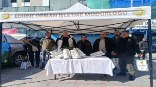 Edirnede çam fidanı dağıtıldı