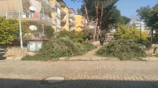 Efeler Belediyesinden budama atıkları uyarısı