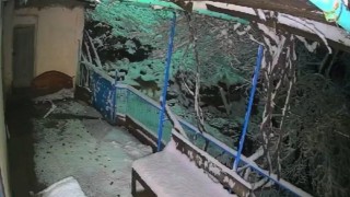 Elazığda çakalın tepsiyi çalma anı kamerada