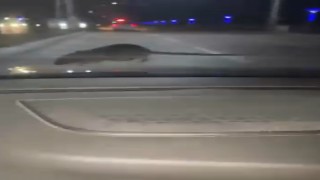 Elazığda seyir halindeki otomobilin ön camına fare kondu
