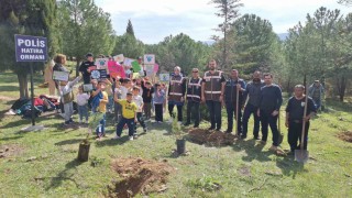 Emniyet personeli ve öğrenciler birlikte fidan dikti