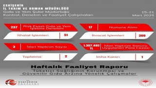 Eskişehirde 237 gıda işletmesi denetlendi